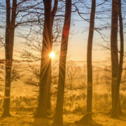 CONCORDANCE CONSEIL forêt méthodes