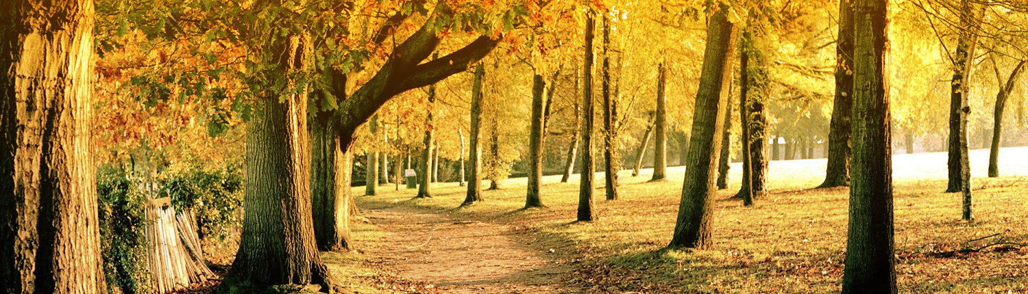 CONCORDANCE CONSEIL FORET NANTES